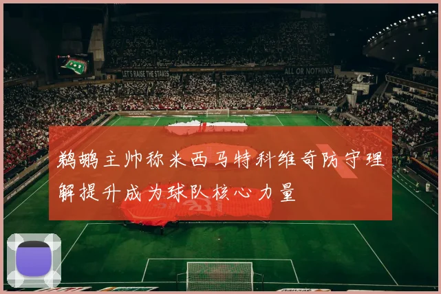 鹈鹕主帅称米西马特科维奇防守理解提升成为球队核心力量